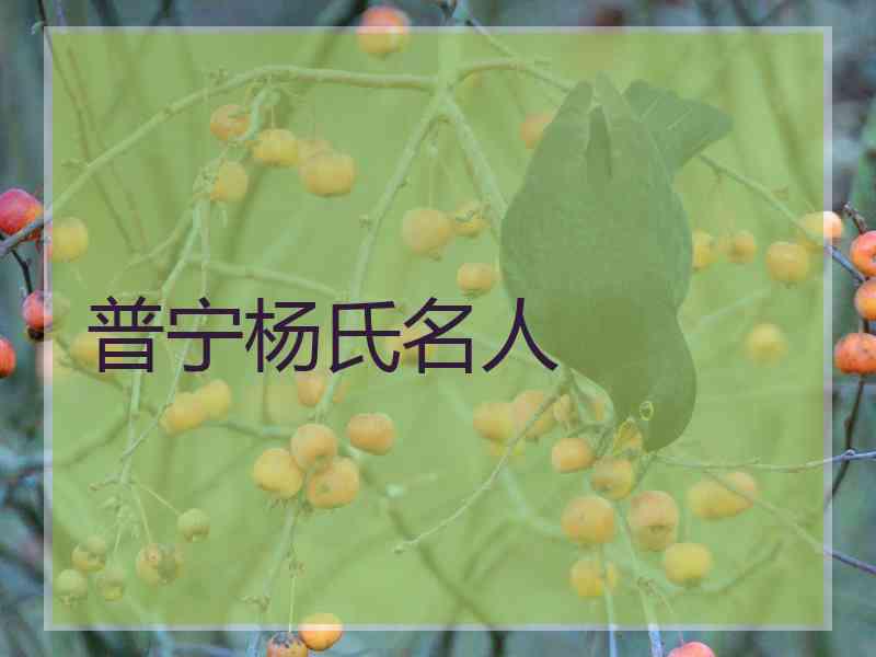 普宁杨氏名人 普宁杨氏名人