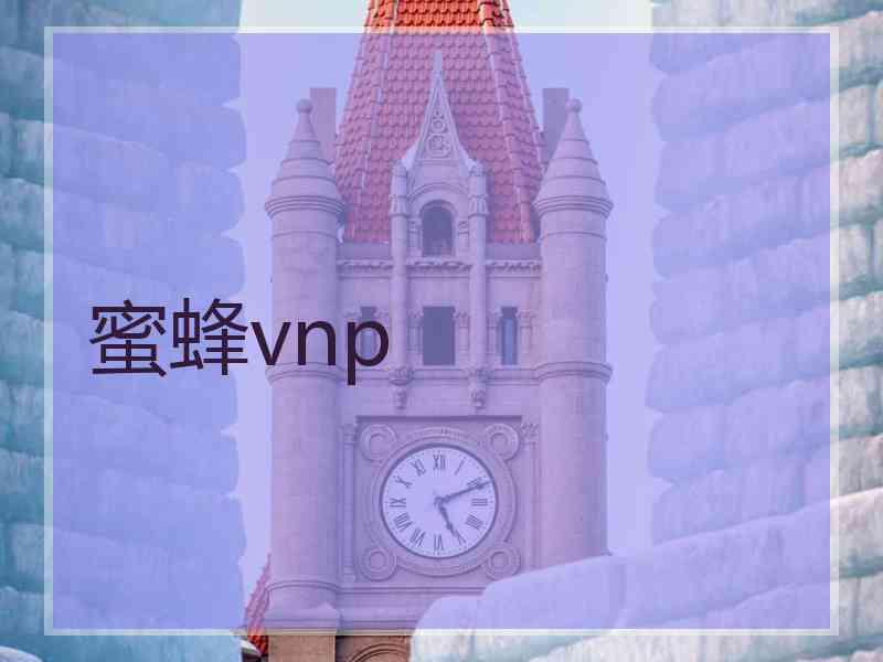 蜜蜂vnp 蜜蜂vnp