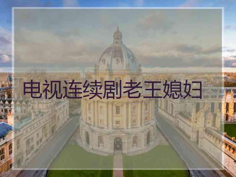 电视连续剧老王媳妇 电视连续剧老王媳妇