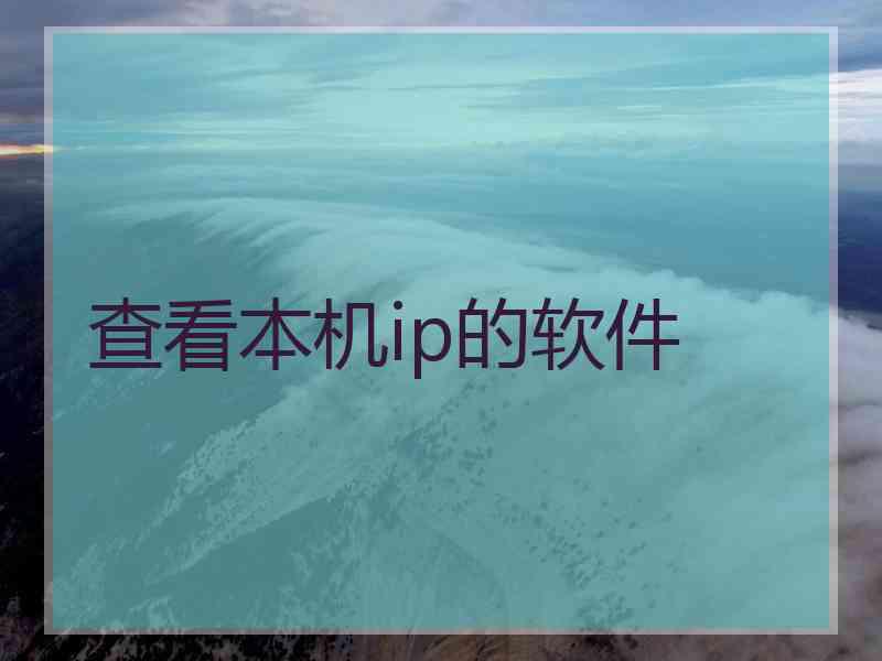 查看本机ip的软件 查看本机ip的软件