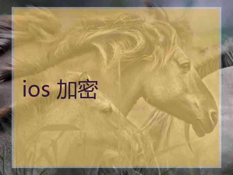 ios 加密 ios 加密