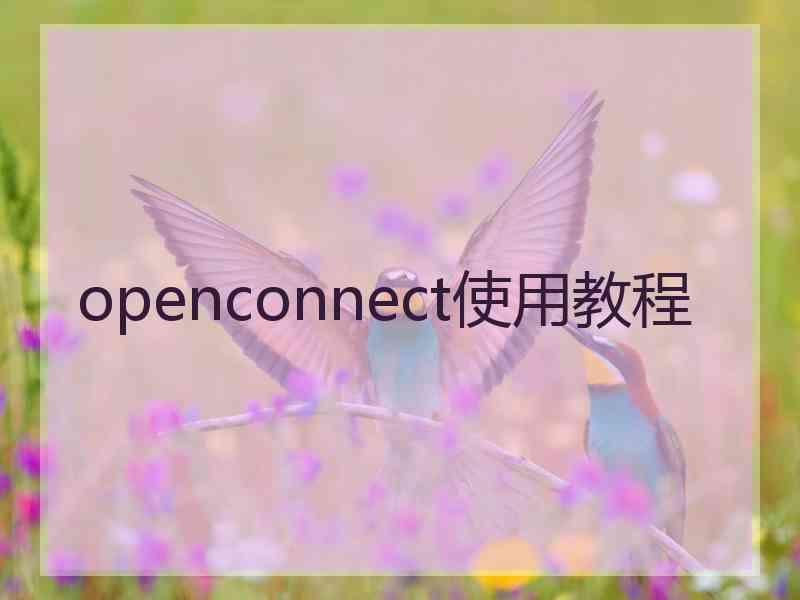 openconnect使用教程 openconnect使用教程