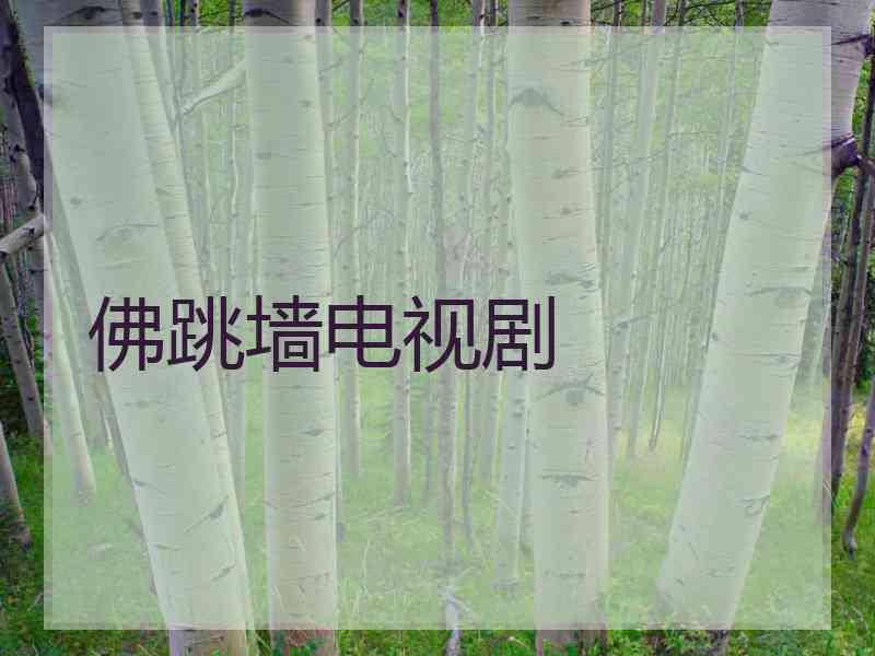 佛跳墙电视剧 佛跳墙电视剧