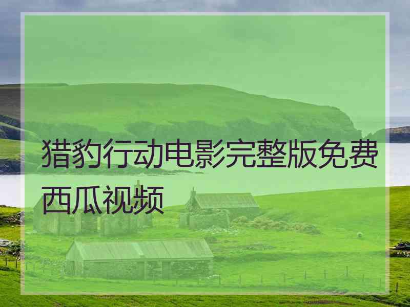 猎豹行动电影完整版免费西瓜视频 猎豹行动电影完整版免费西瓜视频