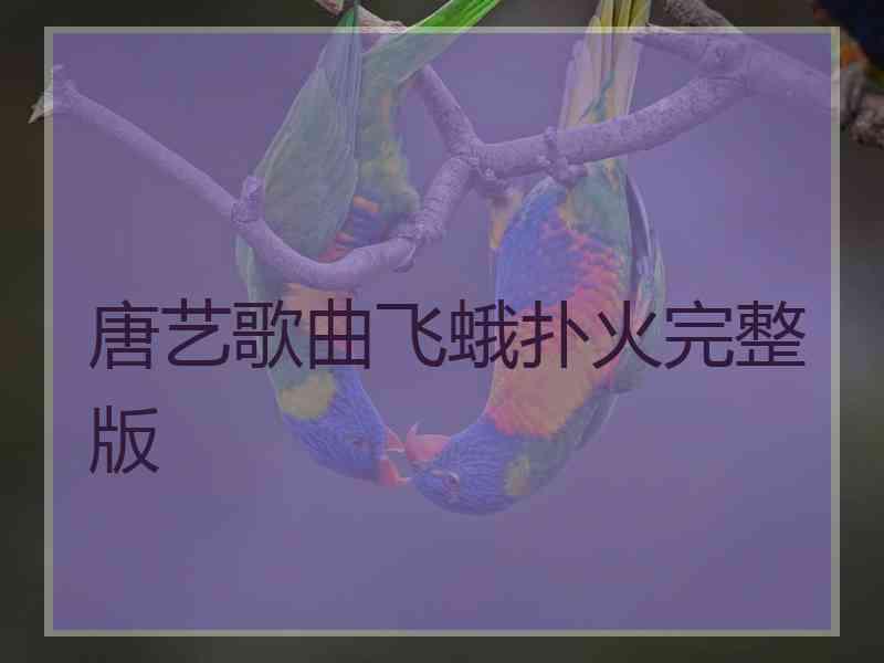 唐艺歌曲飞蛾扑火完整版 唐艺歌曲飞蛾扑火完整版