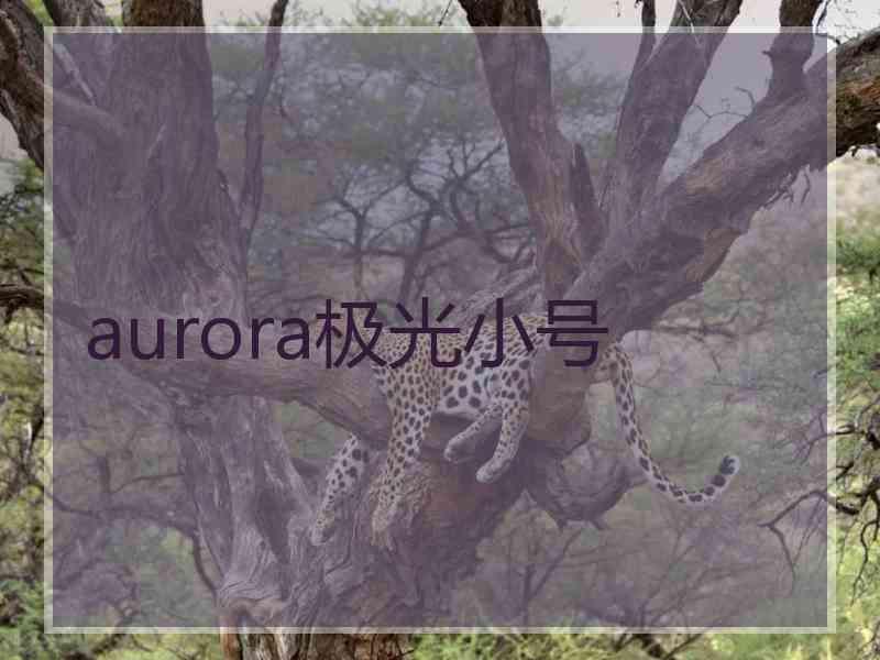 aurora极光小号 aurora极光小号