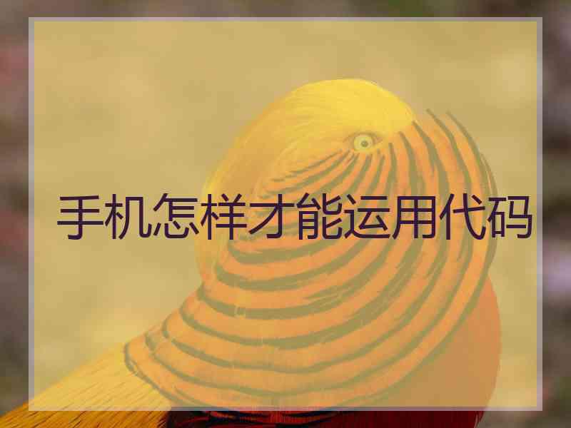 手机怎样才能运用代码 手机怎样才能运用代码