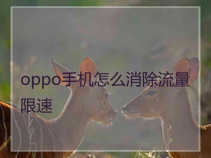 oppo手机怎么消除流量限速 oppo手机怎么消除流量限速