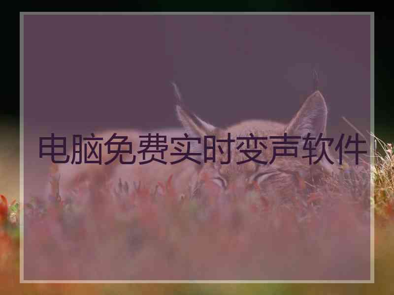 电脑免费实时变声软件 电脑免费实时变声软件