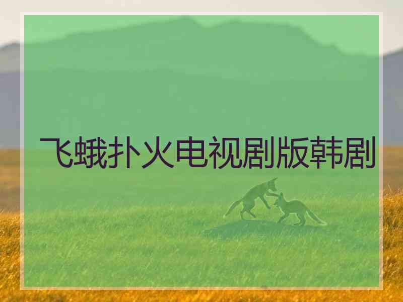 飞蛾扑火电视剧版韩剧 飞蛾扑火电视剧版韩剧