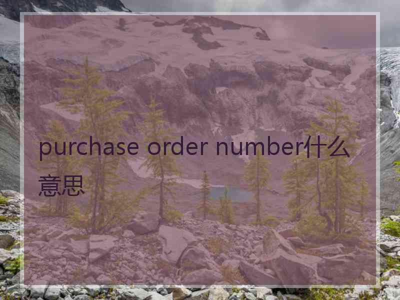 purchase order number什么意思 purchase order number什么意思