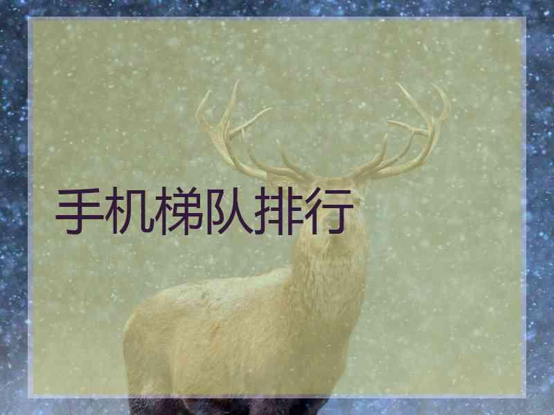 手机梯队排行 手机梯队排行