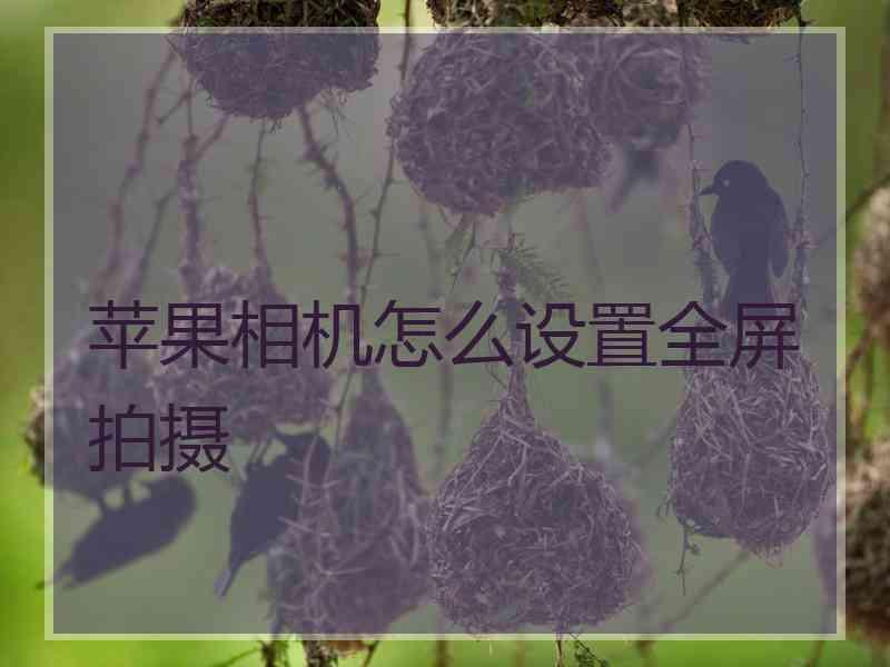 苹果相机怎么设置全屏拍摄 苹果相机怎么设置全屏拍摄