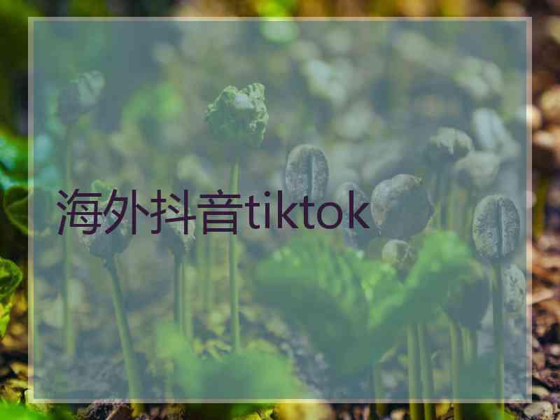 海外抖音tiktok 海外抖音tiktok