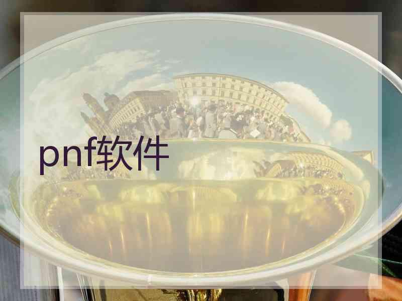 pnf软件 pnf软件