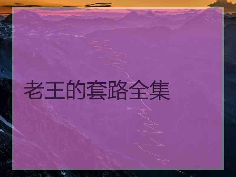 老王的套路全集 老王的套路全集