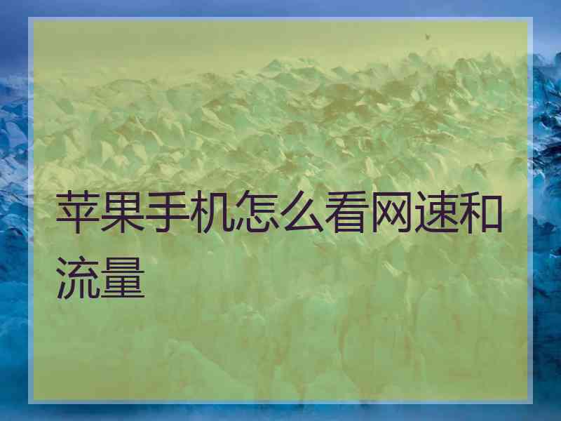 苹果手机怎么看网速和流量 苹果手机怎么看网速和流量