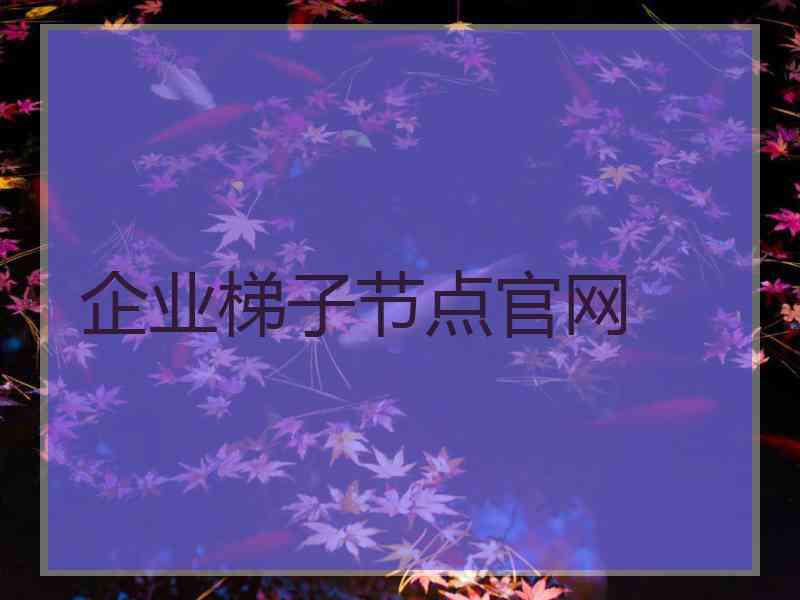 企业梯子节点官网 企业梯子节点官网