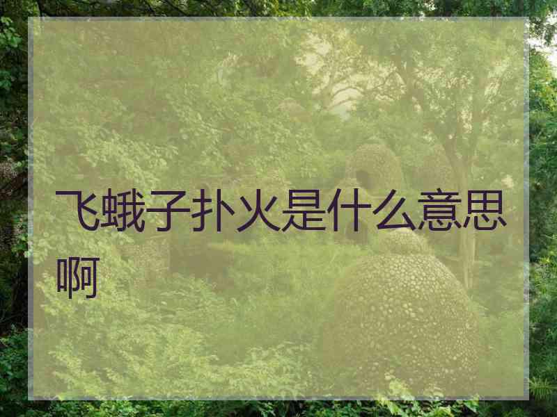 飞蛾子扑火是什么意思啊 飞蛾子扑火是什么意思啊