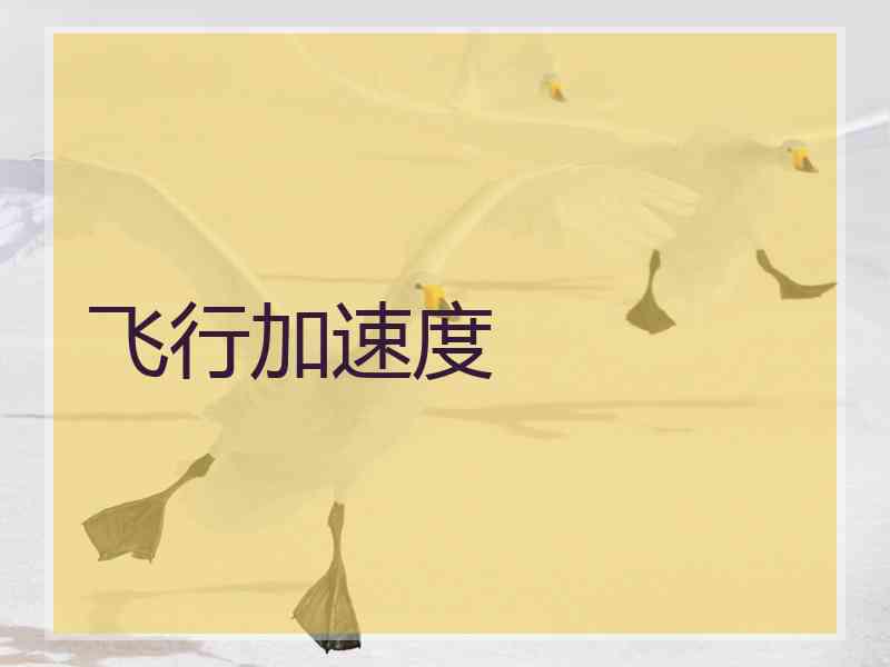 飞行加速度 飞行加速度
