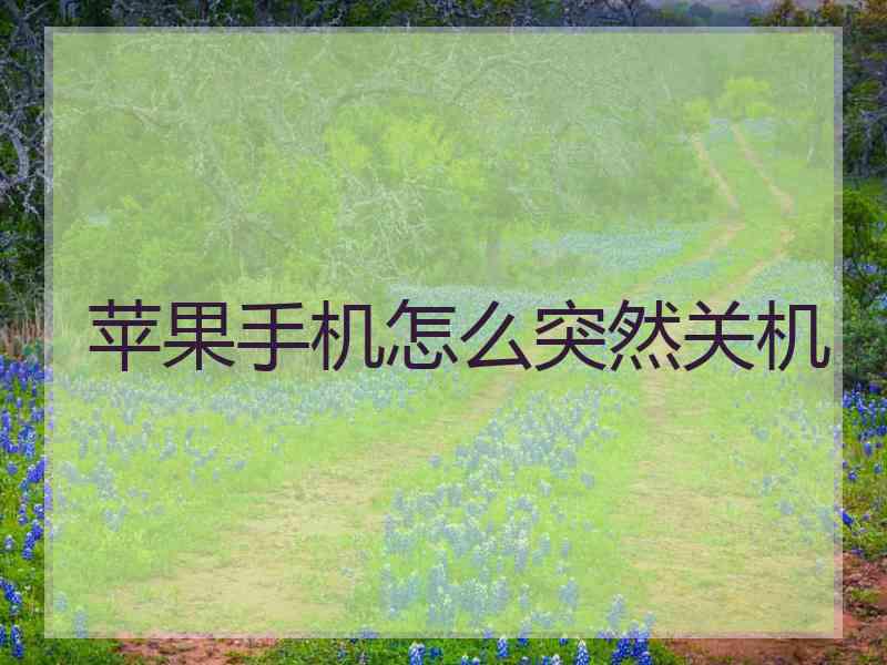 苹果手机怎么突然关机 苹果手机怎么突然关机