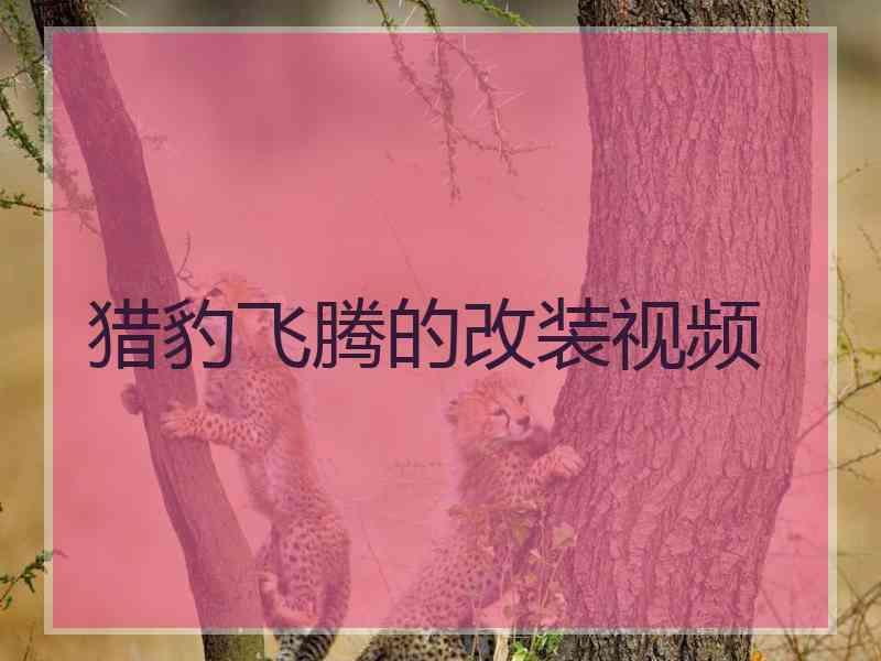 猎豹飞腾的改装视频 猎豹飞腾的改装视频