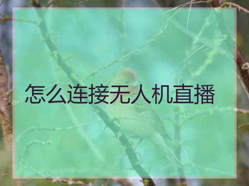 怎么连接无人机直播 怎么连接无人机直播