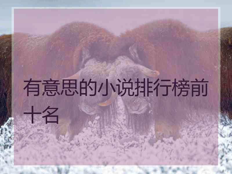 有意思的小说排行榜前十名 有意思的小说排行榜前十名