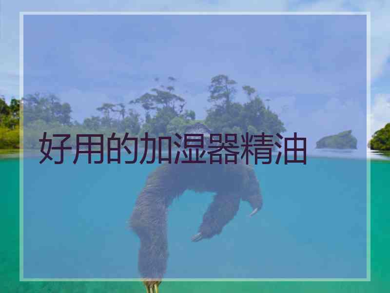 好用的加湿器精油 好用的加湿器精油
