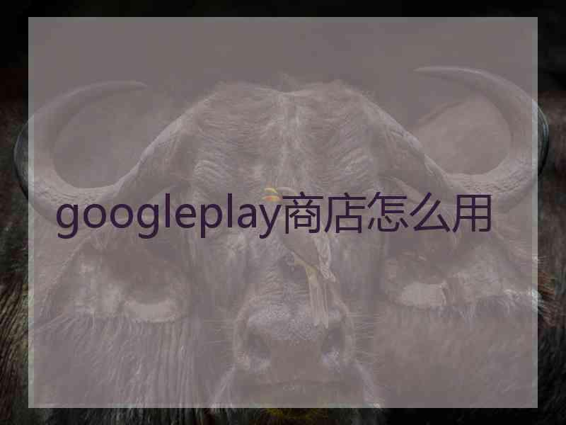 googleplay商店怎么用 googleplay商店怎么用