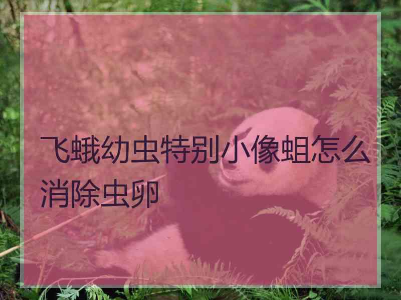 飞蛾幼虫特别小像蛆怎么消除虫卵 飞蛾幼虫特别小像蛆怎么消除虫卵