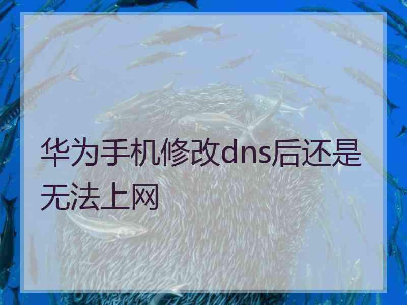 华为手机修改dns后还是无法上网 华为手机修改dns后还是无法上网