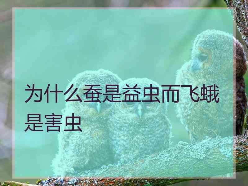 为什么蚕是益虫而飞蛾是害虫 为什么蚕是益虫而飞蛾是害虫