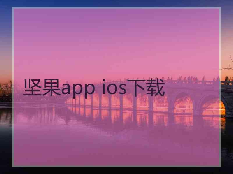 坚果app ios下载 坚果app ios下载