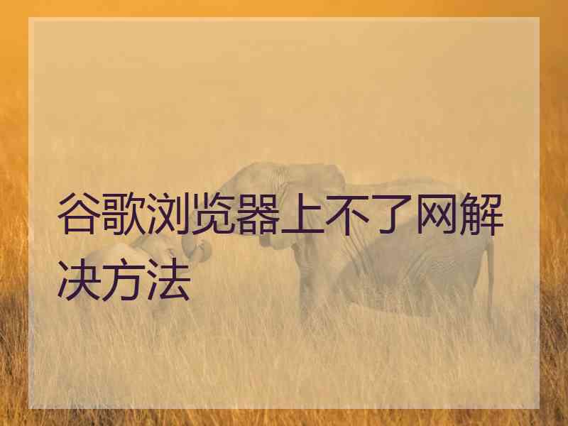 谷歌浏览器上不了网解决方法 谷歌浏览器上不了网解决方法