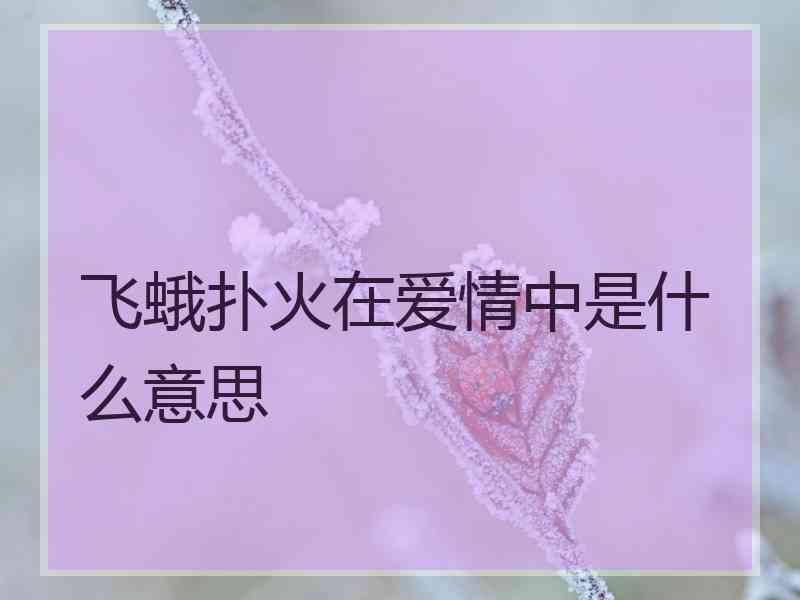 飞蛾扑火在爱情中是什么意思 飞蛾扑火在爱情中是什么意思