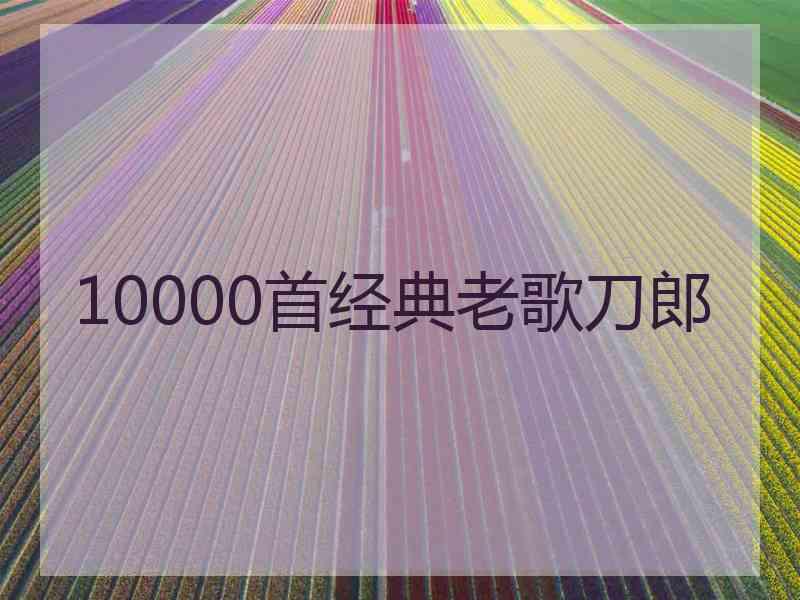 10000首经典老歌刀郎 10000首经典老歌刀郎