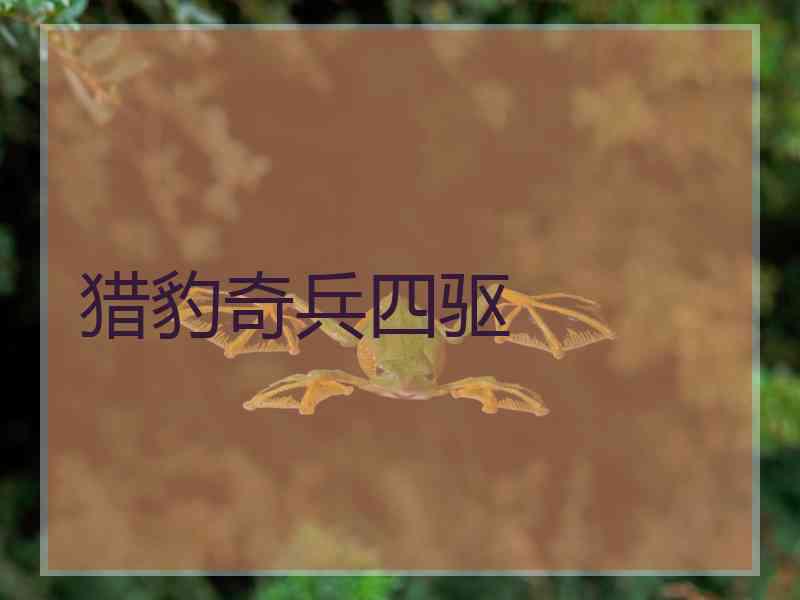 猎豹奇兵四驱 猎豹奇兵四驱