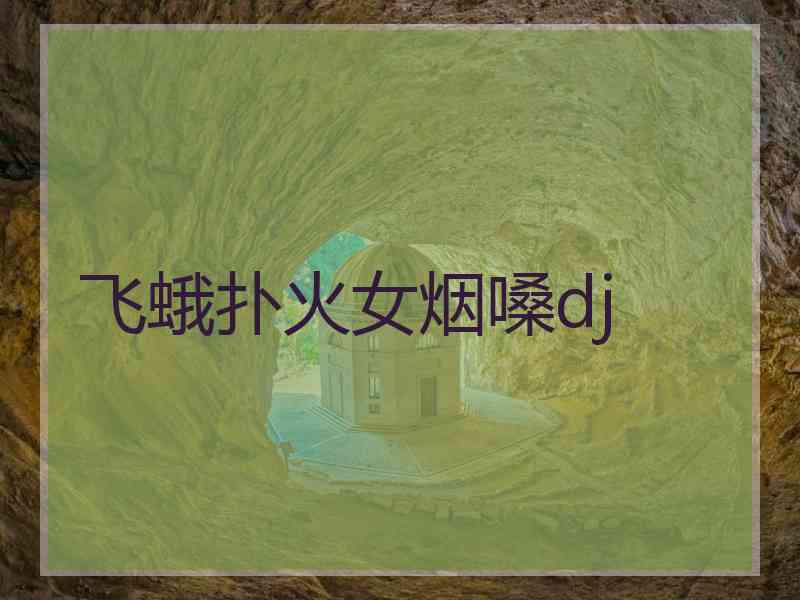 飞蛾扑火女烟嗓dj 飞蛾扑火女烟嗓dj