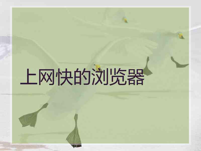 上网快的浏览器 上网快的浏览器