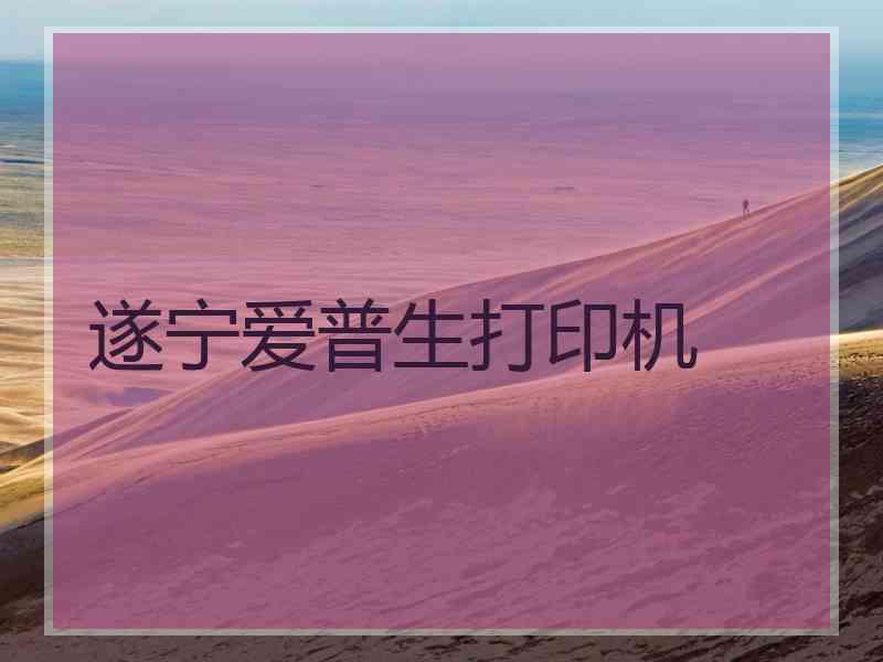 遂宁爱普生打印机 遂宁爱普生打印机
