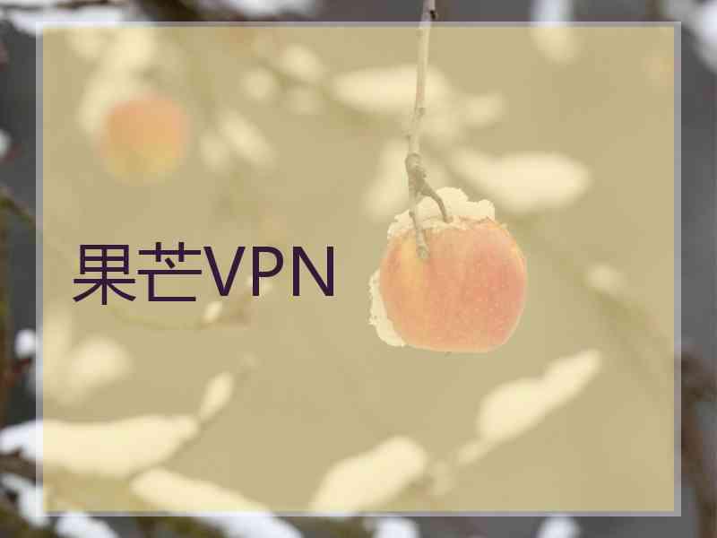 果芒VPN 果芒VPN