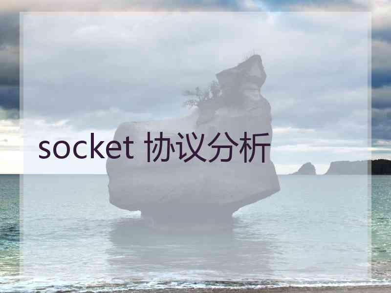 socket 协议分析 socket 协议分析