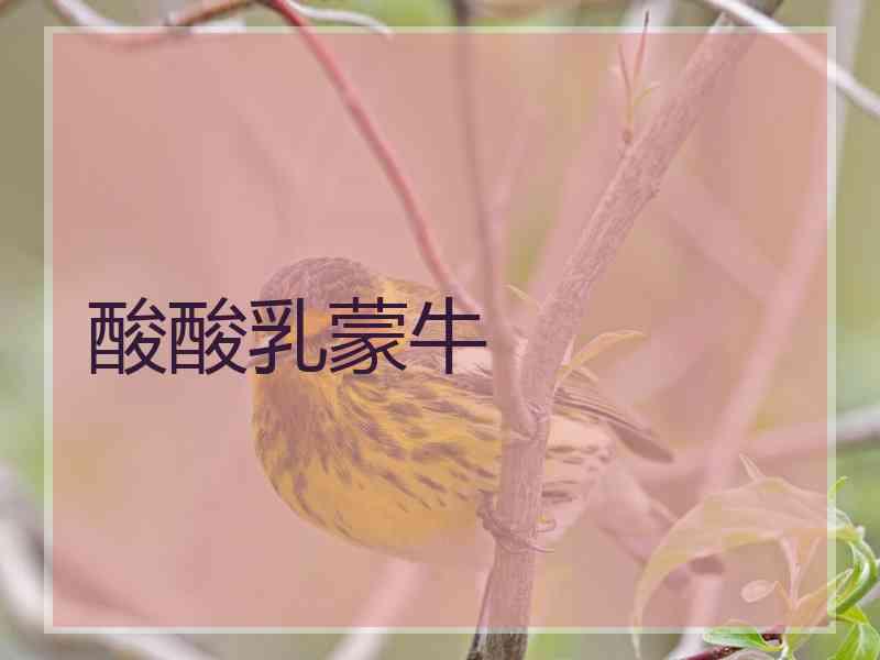 酸酸乳蒙牛 酸酸乳蒙牛