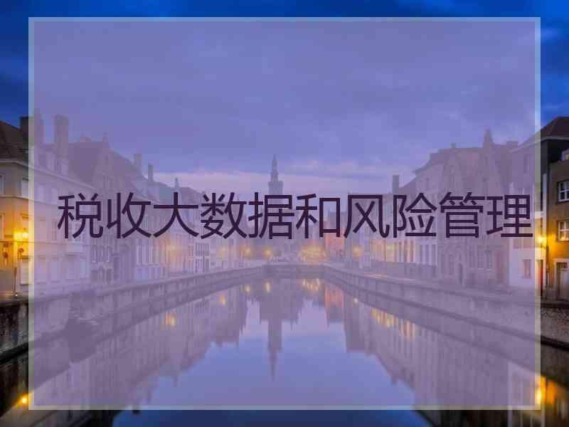 税收大数据和风险管理 税收大数据和风险管理