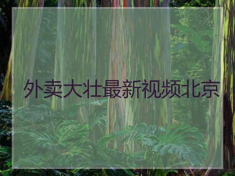 外卖大壮最新视频北京