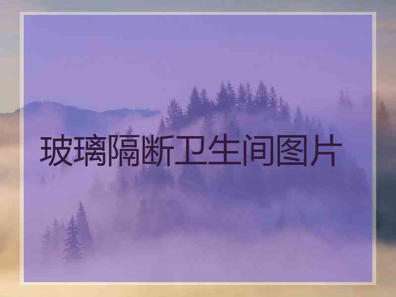 玻璃隔断卫生间图片