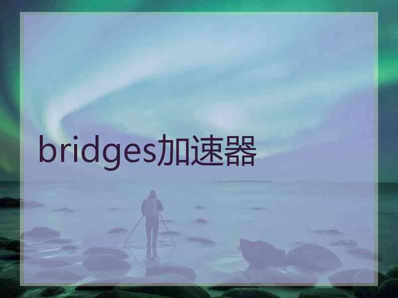 bridges加速器