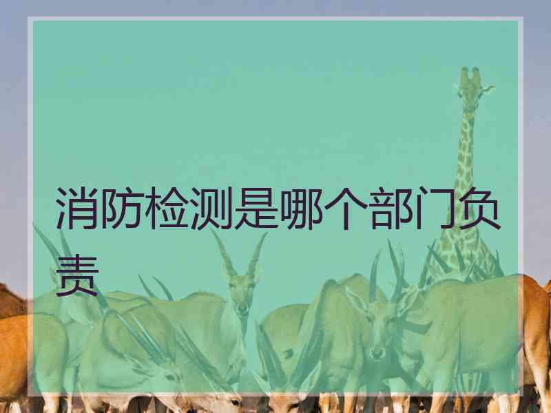 消防检测是哪个部门负责