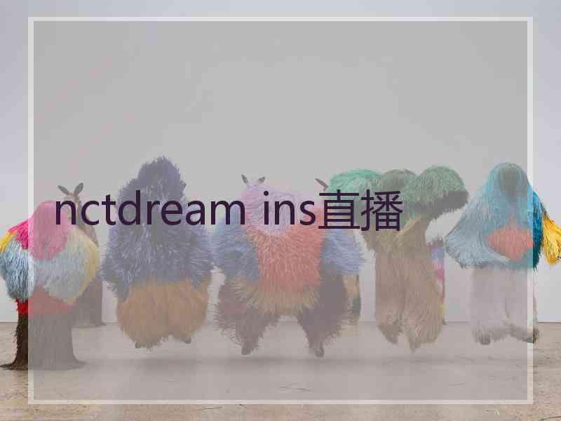 nctdream ins直播